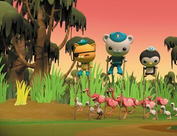 Les Octonauts