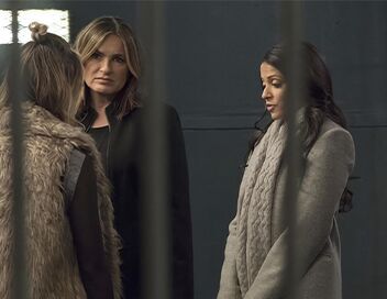 New York Unité Spéciale