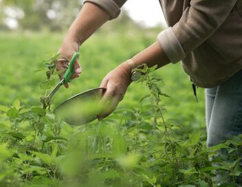 Maladies de l'hiver : comment renforcer nos défenses immunitaires ?
