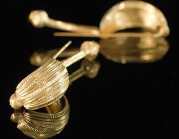 Les reines oubliées de l'âge du fer