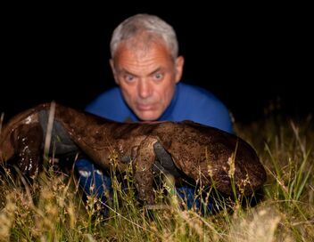 River Monsters