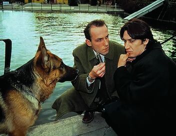Rex, chien flic