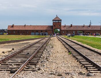Auschwitz : en mémoire des champions