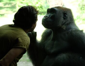 Au coeur du zoo de New York