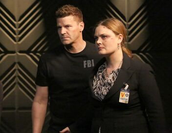Bones