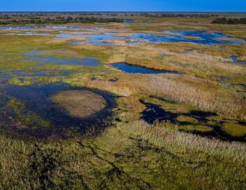 Les miracles du delta de l'Okavango