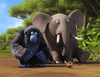 Les as de la jungle à la rescousse