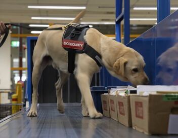 Douanes sous haute surveillance
