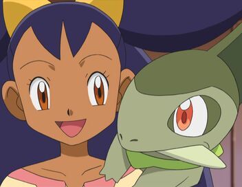 Pokémon : Noir et Blanc