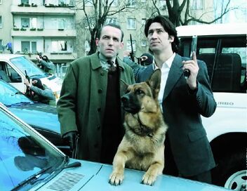 Rex, chien flic