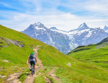 VTT : Championnats d'Europe