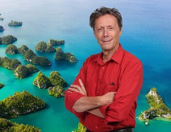 J'irai dormir chez vous