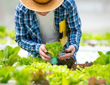 VIP - Very Important Paysan