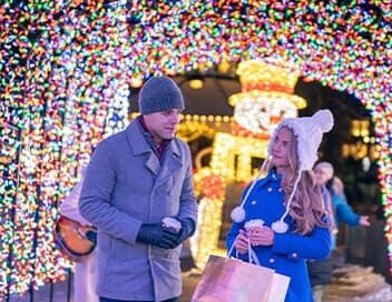 Noël aux grands magasins