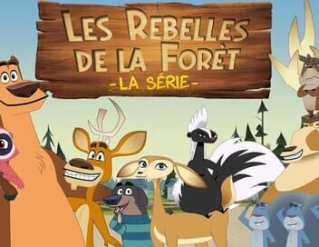 Les rebelles de la forêt, la série