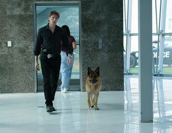 Hudson et Rex