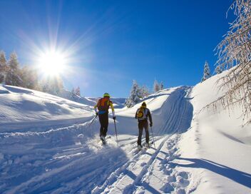 Ski nordique : Championnats du monde à Trondheim