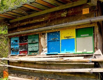 Slovénie, le royaume des abeilles