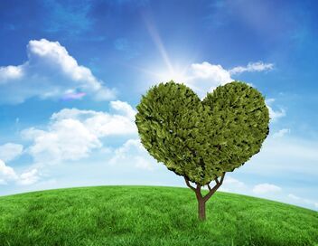 Silence, ça pousse !