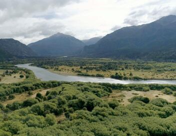Des vignes et des hommes