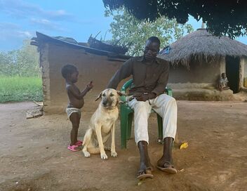 Ouganda, les chiens de l'espoir