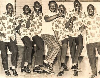 Ladysmith Black Mambazo : Le son de l'Afrique