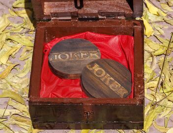 Pékin express : L'épopée des maharadjas