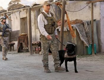 NCIS