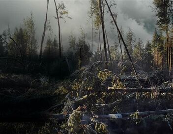 Au coeur des tempêtes