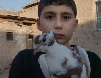 Un garçon, une terre, la guerre