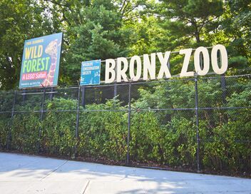 Au coeur du zoo de New York