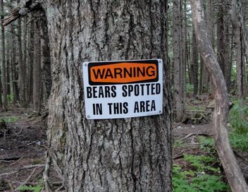 Alaska : La ruée vers l'or