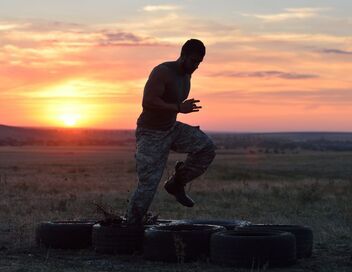 Le journal de la Défense