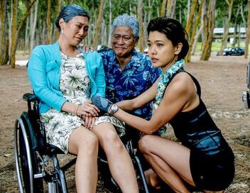 Hawaii 5-0