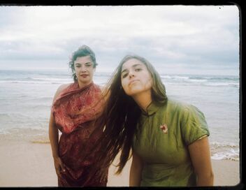 Birds on a Wire - Le Chant des oiseaux