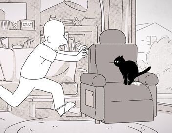Putain de chat !