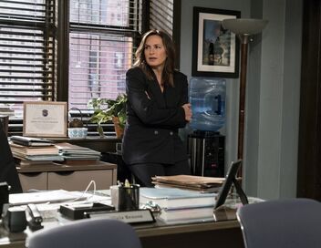 New York Unité Spéciale