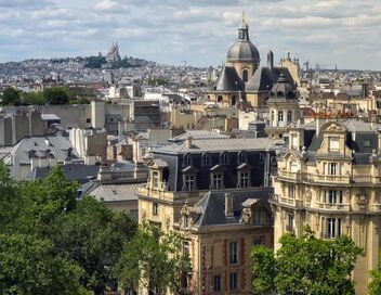 Paris, un jardin pour les abeilles