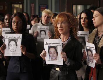 New York Unité Spéciale