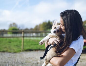 L'amour est dans le pré