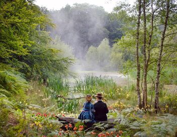 La vie extraordinaire de Louis Wain