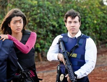 Hawaii 5-0