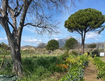 Les fées anti-gaspi, en Provence verte