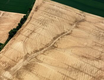 Sale temps pour la planète