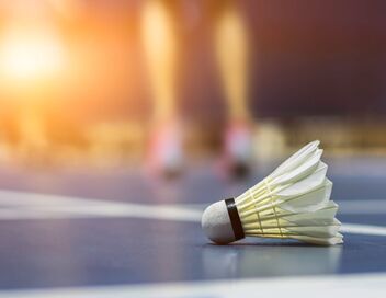 Badminton : Championnats du monde