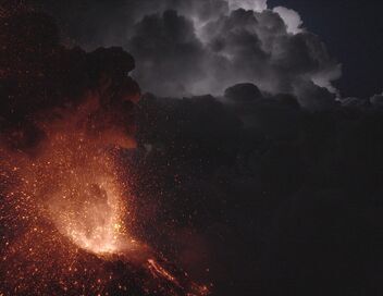 Le grand show de la nature