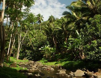 Patrimoines de France