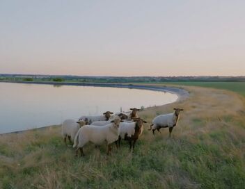 Monde agricole : la fracture de l'eau