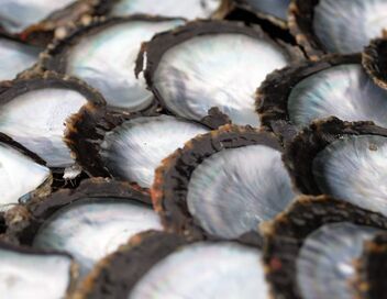 Invitation au voyage