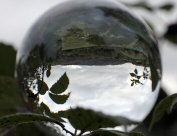 Climat : mon cerveau fait l'autruche